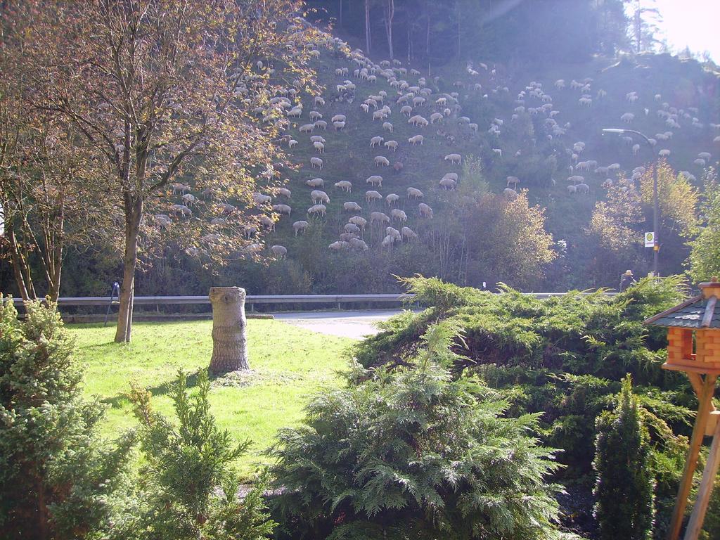 Schatz'N Hof Pottenstein Bagian luar foto